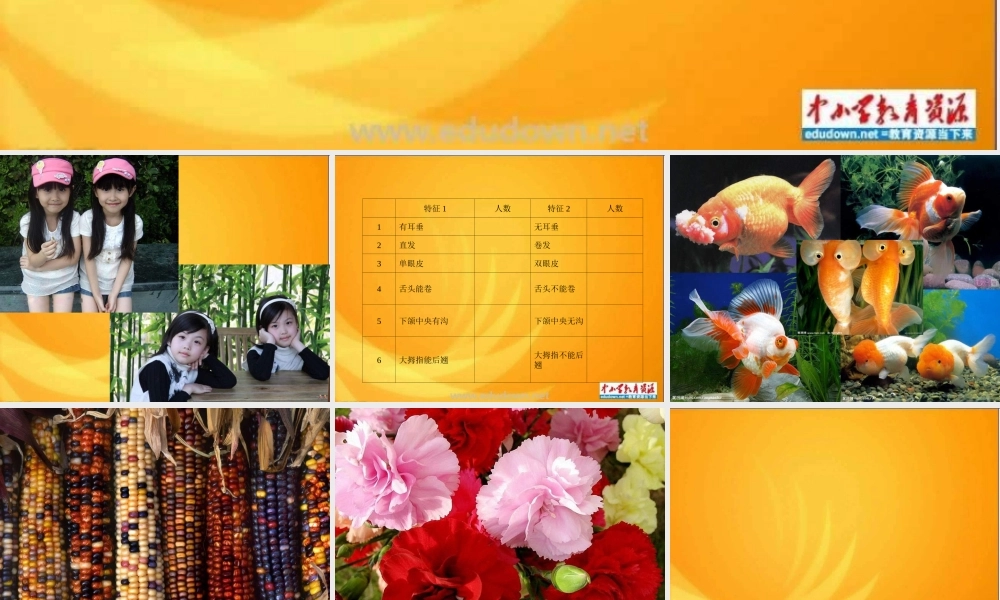 苏教小学科学六下《2.2．生物的变异现象》PPT课件(3)【加微信公众号 jiaoxuewuyou 九折优惠qq 1119139686】.ppt