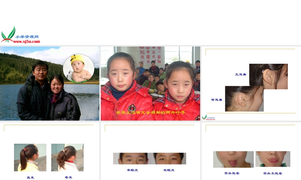 苏教小学科学六下《2.1．生物的遗传现象》PPT课件(2)【加微信公众号 jiaoxuewuyou 九折优惠qq 1119139686】.ppt