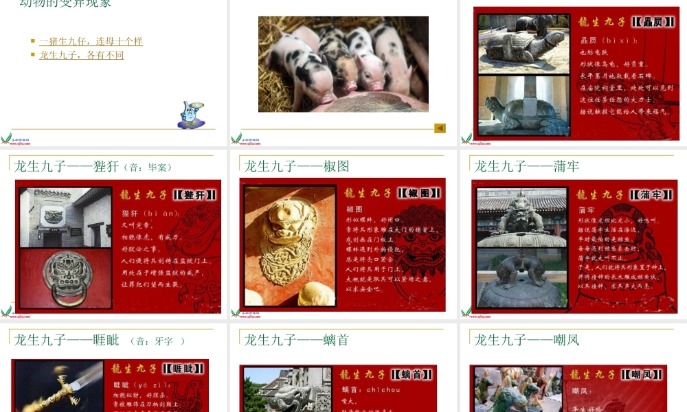 苏教小学科学六下《2.1．生物的遗传现象》PPT课件(2)【加微信公众号 jiaoxuewuyou 九折优惠qq 1119139686】.ppt