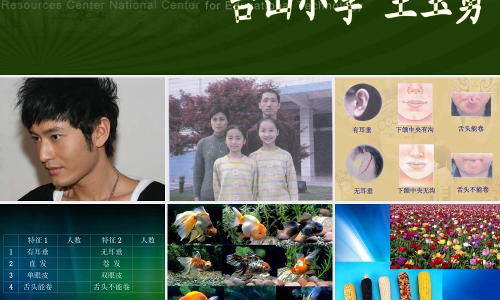 苏教小学科学六下《2.2．生物的变异现象》PPT课件(2)【加微信公众号 jiaoxuewuyou 九折优惠qq 1119139686】.ppt