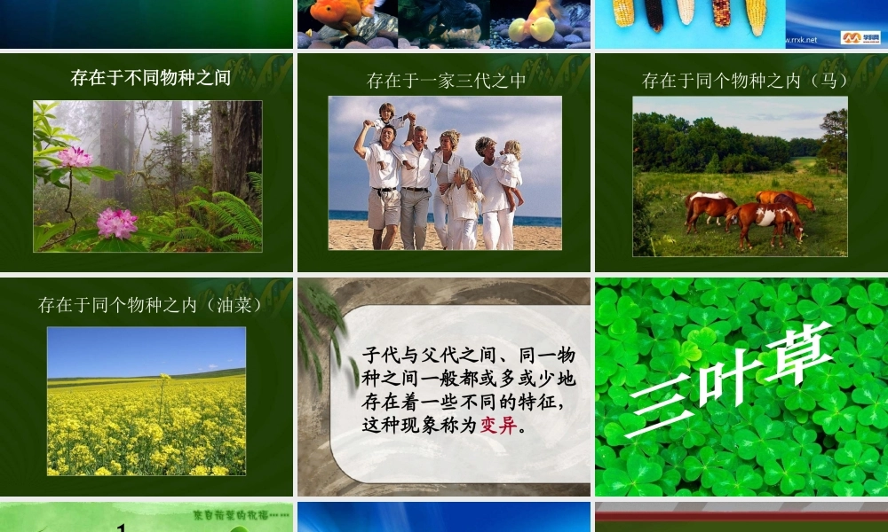 苏教小学科学六下《2.2．生物的变异现象》PPT课件(2)【加微信公众号 jiaoxuewuyou 九折优惠qq 1119139686】.ppt