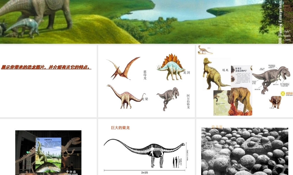 苏教小学科学六下《3.1.消失了的恐龙》PPT课件 (6)【加微信公众号 jiaoxuewuyou 九折优惠qq 1119139686】.ppt