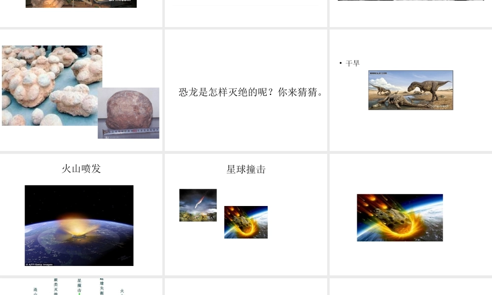 苏教小学科学六下《3.1.消失了的恐龙》PPT课件 (6)【加微信公众号 jiaoxuewuyou 九折优惠qq 1119139686】.ppt