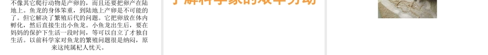 苏教小学科学六下《3.1.消失了的恐龙》PPT课件 (6)【加微信公众号 jiaoxuewuyou 九折优惠qq 1119139686】.ppt