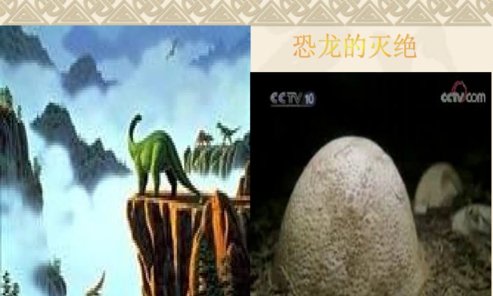 苏教小学科学六下《3.1.消失了的恐龙》PPT课件 (9)【加微信公众号 jiaoxuewuyou 九折优惠qq 1119139686】.ppt