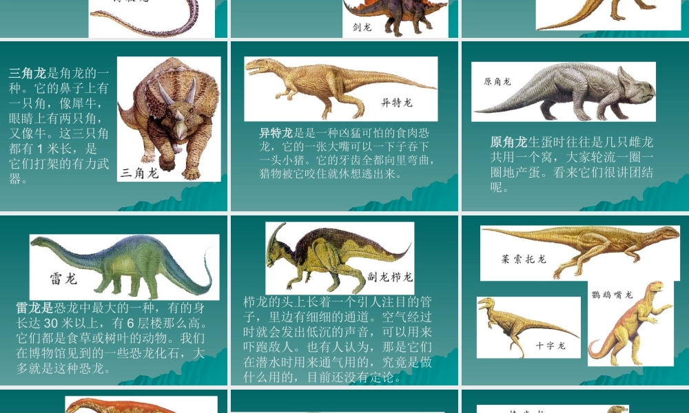 苏教小学科学六下《3.1.消失了的恐龙》PPT课件 (2)【加微信公众号 jiaoxuewuyou 九折优惠qq 1119139686】.ppt