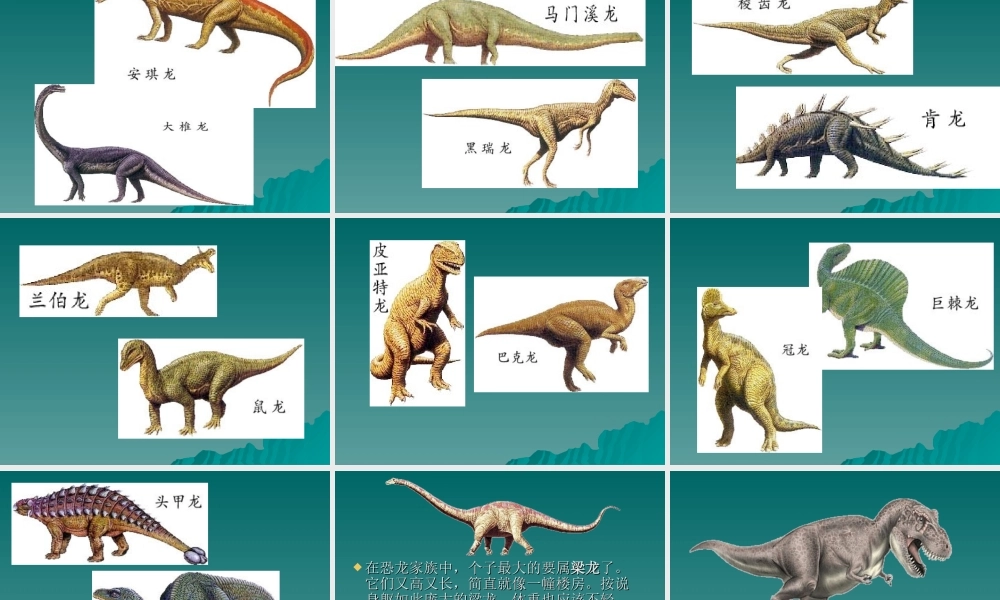 苏教小学科学六下《3.1.消失了的恐龙》PPT课件 (2)【加微信公众号 jiaoxuewuyou 九折优惠qq 1119139686】.ppt