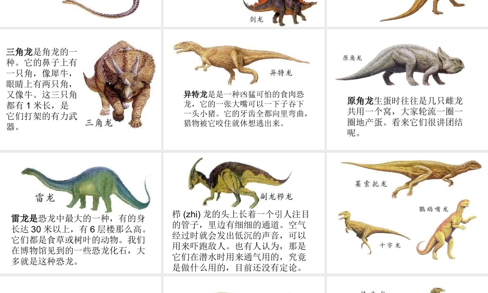 苏教小学科学六下《3.1.消失了的恐龙》PPT课件 (5)【加微信公众号 jiaoxuewuyou 九折优惠qq 1119139686】.ppt