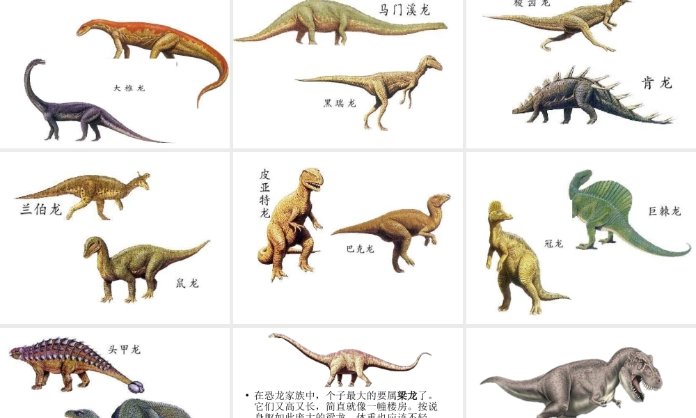 苏教小学科学六下《3.1.消失了的恐龙》PPT课件 (5)【加微信公众号 jiaoxuewuyou 九折优惠qq 1119139686】.ppt