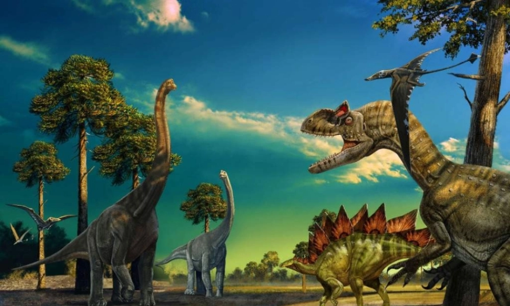 苏教小学科学六下《3.2.化石告诉我们什么》PPT课件 (2)【加微信公众号 jiaoxuewuyou 九折优惠qq 1119139686】.ppt