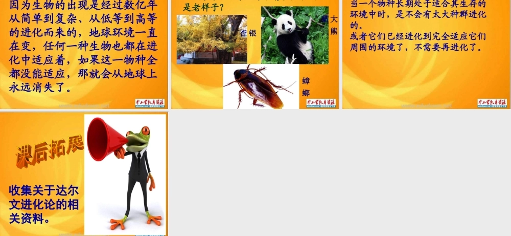 苏教小学科学六下《3.2.化石告诉我们什么》PPT课件 (2)【加微信公众号 jiaoxuewuyou 九折优惠qq 1119139686】.ppt