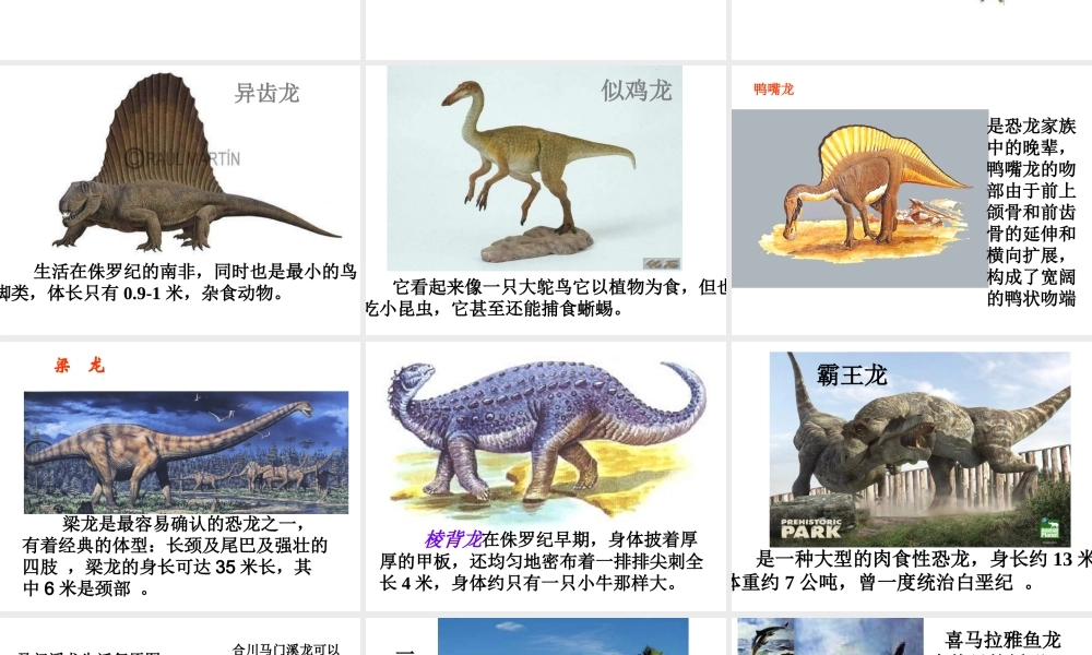 苏教小学科学六下《3.1.消失了的恐龙》PPT课件 (3)【加微信公众号 jiaoxuewuyou 九折优惠qq 1119139686】.ppt