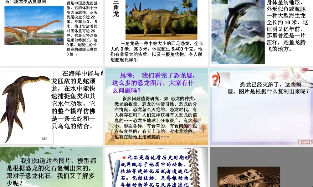 苏教小学科学六下《3.1.消失了的恐龙》PPT课件 (3)【加微信公众号 jiaoxuewuyou 九折优惠qq 1119139686】.ppt