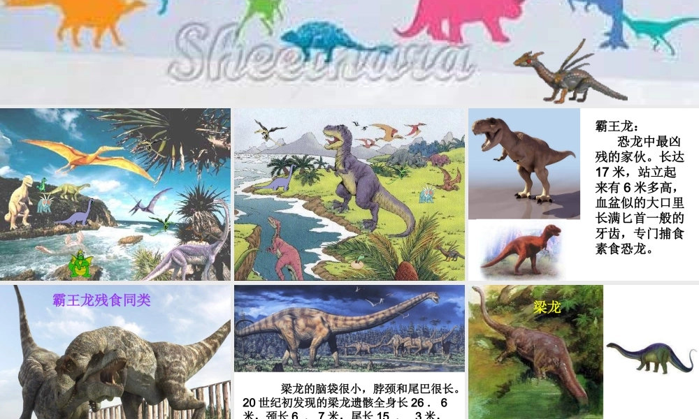 苏教小学科学六下《3.1.消失了的恐龙》PPT课件 (10)【加微信公众号 jiaoxuewuyou 九折优惠qq 1119139686】.ppt