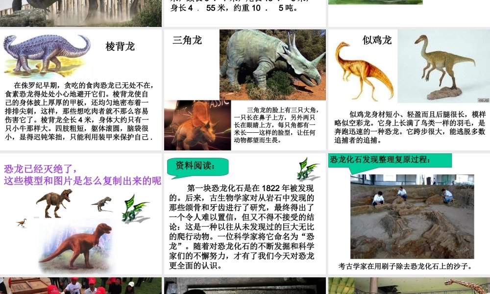 苏教小学科学六下《3.1.消失了的恐龙》PPT课件 (10)【加微信公众号 jiaoxuewuyou 九折优惠qq 1119139686】.ppt