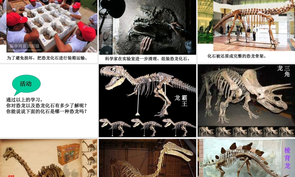 苏教小学科学六下《3.1.消失了的恐龙》PPT课件 (10)【加微信公众号 jiaoxuewuyou 九折优惠qq 1119139686】.ppt