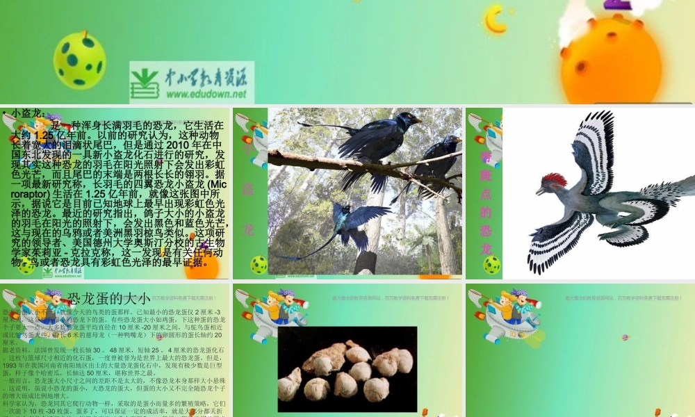 苏教小学科学六下《3.1.消失了的恐龙》PPT课件 (8)【加微信公众号 jiaoxuewuyou 九折优惠qq 1119139686】.ppt