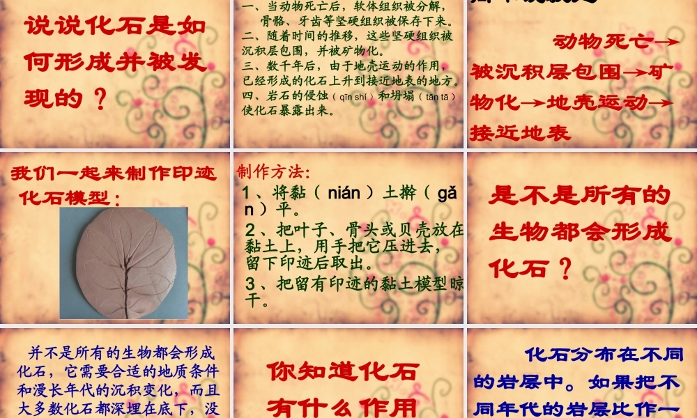 苏教小学科学六下《3.2.化石告诉我们什么》PPT课件 (1)【加微信公众号 jiaoxuewuyou 九折优惠qq 1119139686】.ppt