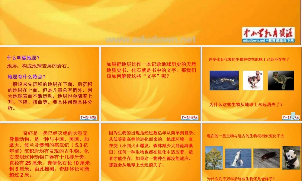 苏教小学科学六下《3.2.化石告诉我们什么》PPT课件 (3)【加微信公众号 jiaoxuewuyou 九折优惠qq 1119139686】.ppt