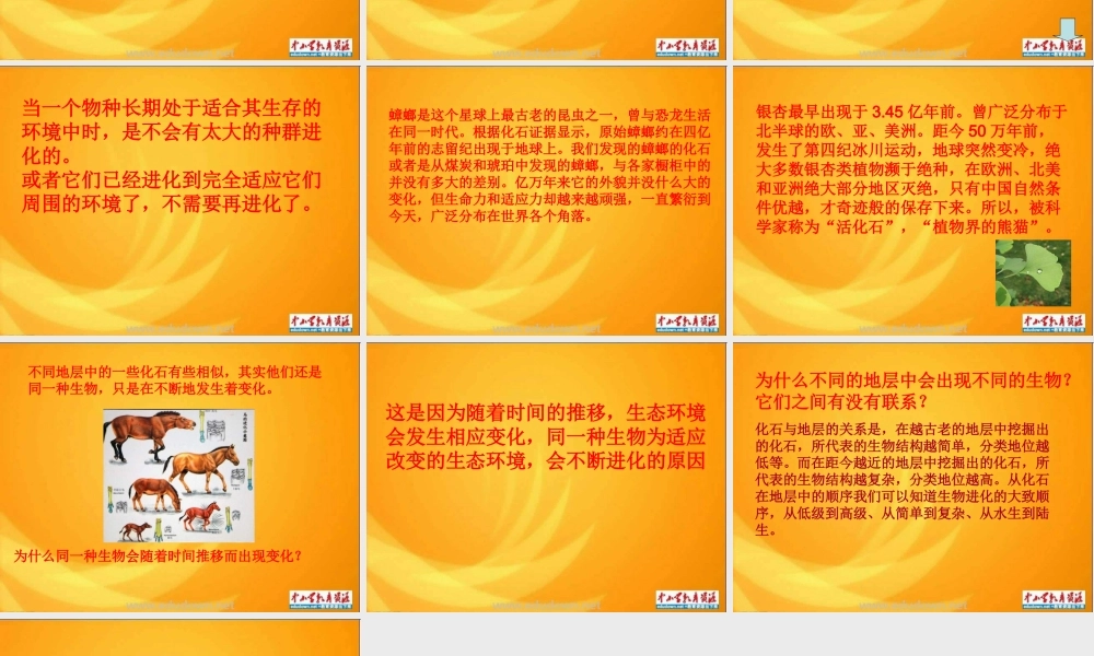 苏教小学科学六下《3.2.化石告诉我们什么》PPT课件 (3)【加微信公众号 jiaoxuewuyou 九折优惠qq 1119139686】.ppt