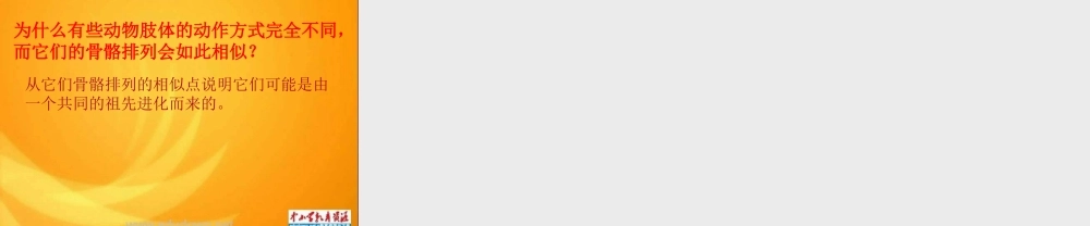 苏教小学科学六下《3.2.化石告诉我们什么》PPT课件 (3)【加微信公众号 jiaoxuewuyou 九折优惠qq 1119139686】.ppt