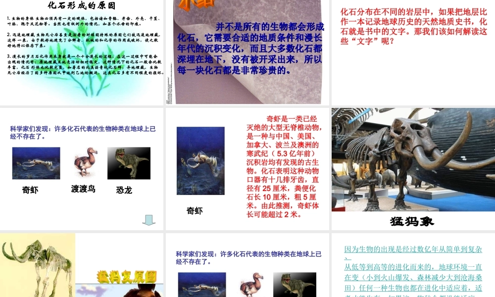 苏教小学科学六下《3.2.化石告诉我们什么》PPT课件 (6)【加微信公众号 jiaoxuewuyou 九折优惠qq 1119139686】.ppt