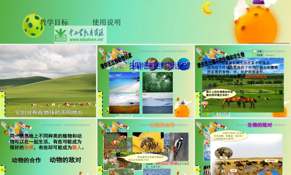 苏教小学科学六下《4.1.寻找生物的家园》PPT课件 (8)【加微信公众号 jiaoxuewuyou 九折优惠qq 1119139686】.ppt