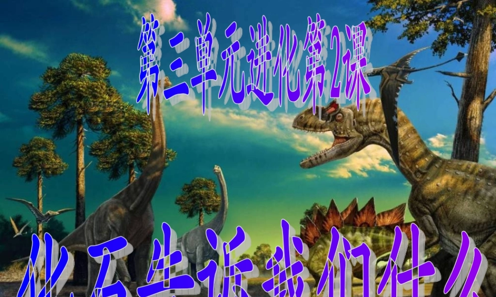 苏教小学科学六下《3.2.化石告诉我们什么》PPT课件 (5)【加微信公众号 jiaoxuewuyou 九折优惠qq 1119139686】.ppt