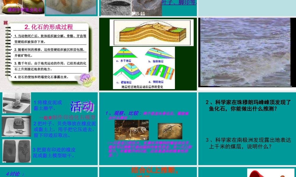 苏教小学科学六下《3.2.化石告诉我们什么》PPT课件 (5)【加微信公众号 jiaoxuewuyou 九折优惠qq 1119139686】.ppt