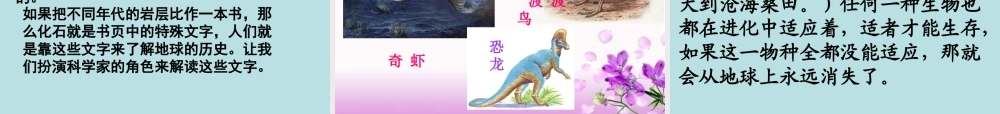 苏教小学科学六下《3.2.化石告诉我们什么》PPT课件 (5)【加微信公众号 jiaoxuewuyou 九折优惠qq 1119139686】.ppt
