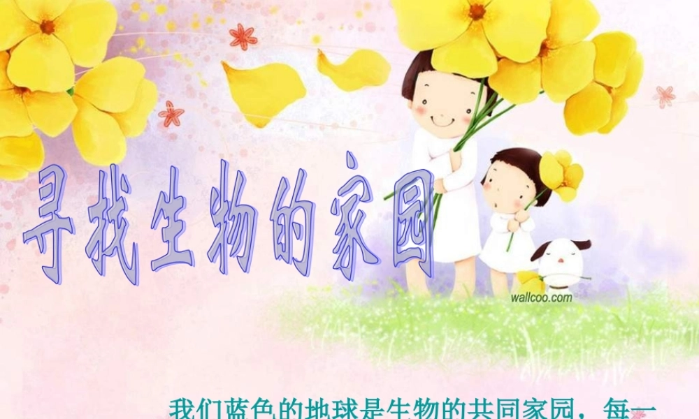 苏教小学科学六下《4.1.寻找生物的家园》PPT课件 (1)【加微信公众号 jiaoxuewuyou 九折优惠qq 1119139686】.ppt
