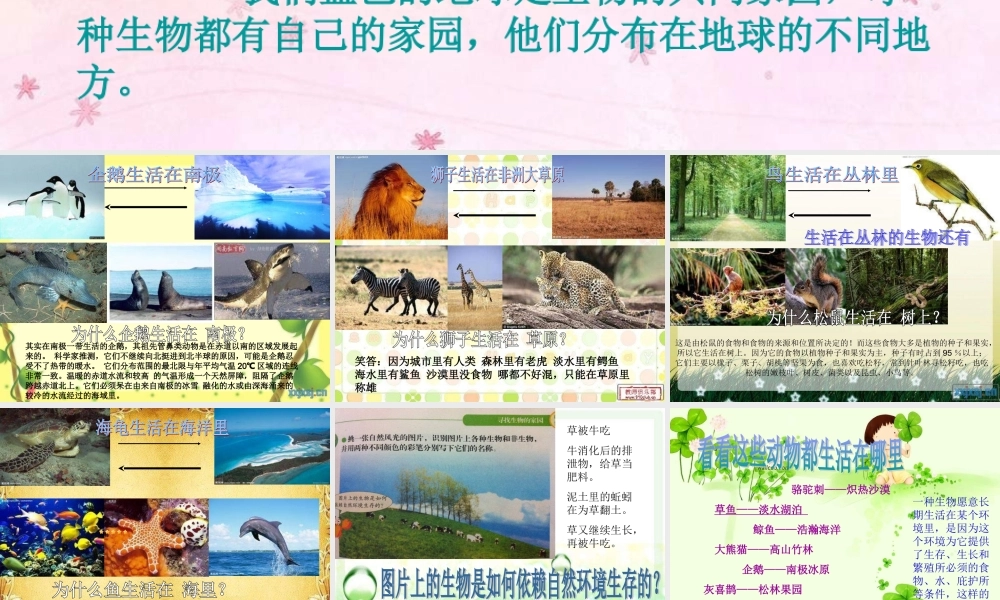 苏教小学科学六下《4.1.寻找生物的家园》PPT课件 (1)【加微信公众号 jiaoxuewuyou 九折优惠qq 1119139686】.ppt