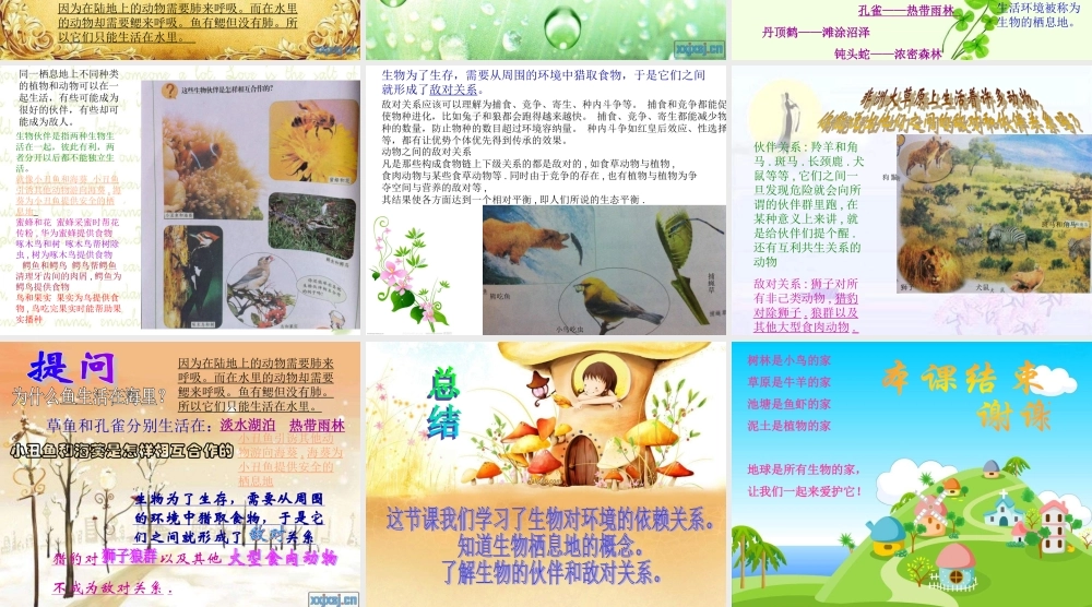 苏教小学科学六下《4.1.寻找生物的家园》PPT课件 (1)【加微信公众号 jiaoxuewuyou 九折优惠qq 1119139686】.ppt