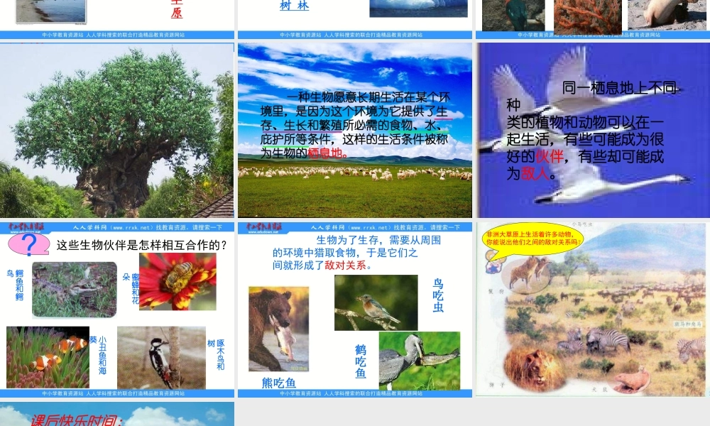 苏教小学科学六下《4.1.寻找生物的家园》PPT课件 (3)【加微信公众号 jiaoxuewuyou 九折优惠qq 1119139686】.ppt