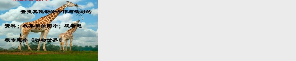 苏教小学科学六下《4.1.寻找生物的家园》PPT课件 (3)【加微信公众号 jiaoxuewuyou 九折优惠qq 1119139686】.ppt