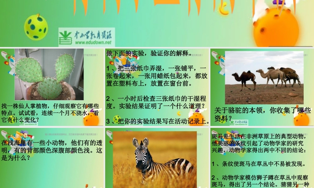 苏教小学科学六下《4.2.有利于生存的本领》PPT课件 (1)【加微信公众号 jiaoxuewuyou 九折优惠qq 1119139686】.ppt