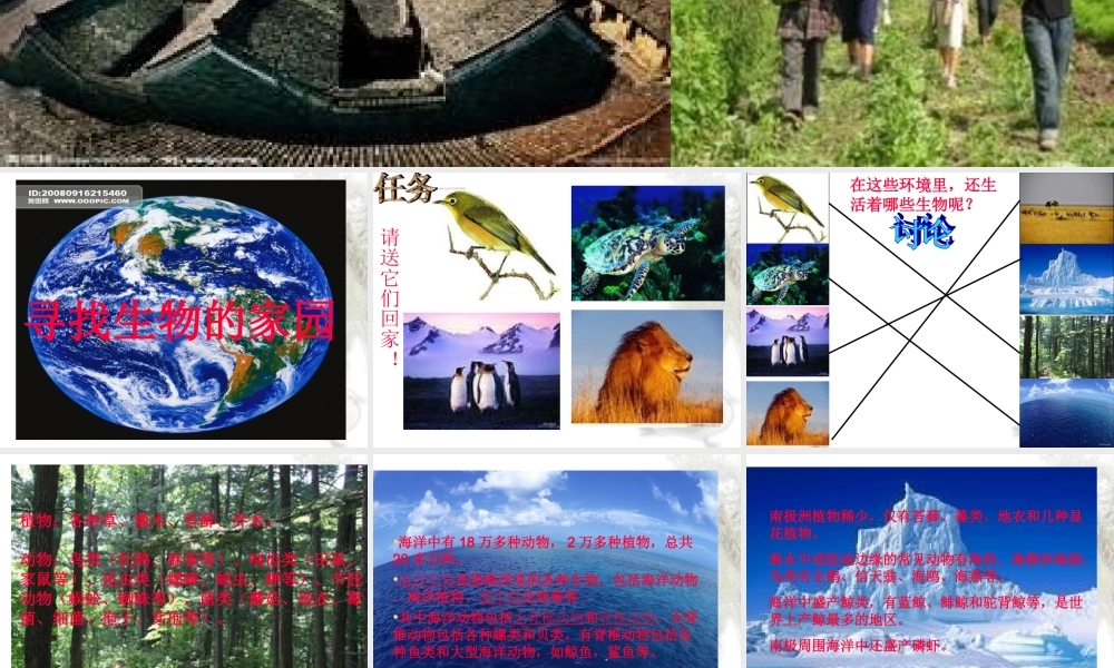 苏教小学科学六下《4.1.寻找生物的家园》PPT课件 (6)【加微信公众号 jiaoxuewuyou 九折优惠qq 1119139686】.ppt