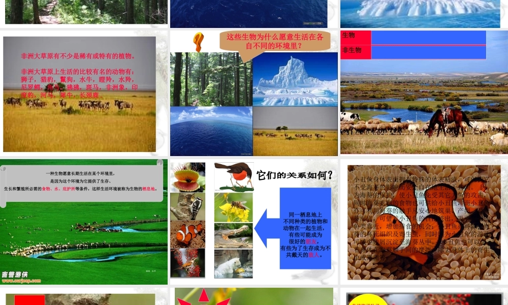 苏教小学科学六下《4.1.寻找生物的家园》PPT课件 (6)【加微信公众号 jiaoxuewuyou 九折优惠qq 1119139686】.ppt