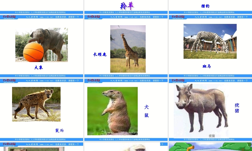 苏教小学科学六下《4.1.寻找生物的家园》PPT课件 (2)【加微信公众号 jiaoxuewuyou 九折优惠qq 1119139686】.ppt