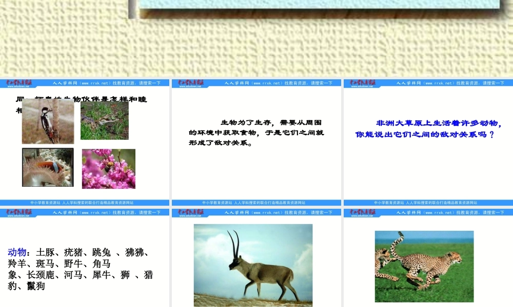 苏教小学科学六下《4.1.寻找生物的家园》PPT课件 (4)【加微信公众号 jiaoxuewuyou 九折优惠qq 1119139686】.ppt