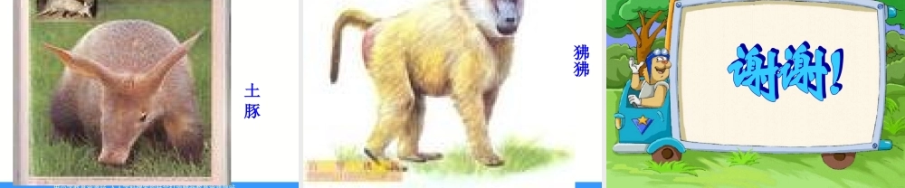 苏教小学科学六下《4.1.寻找生物的家园》PPT课件 (4)【加微信公众号 jiaoxuewuyou 九折优惠qq 1119139686】.ppt