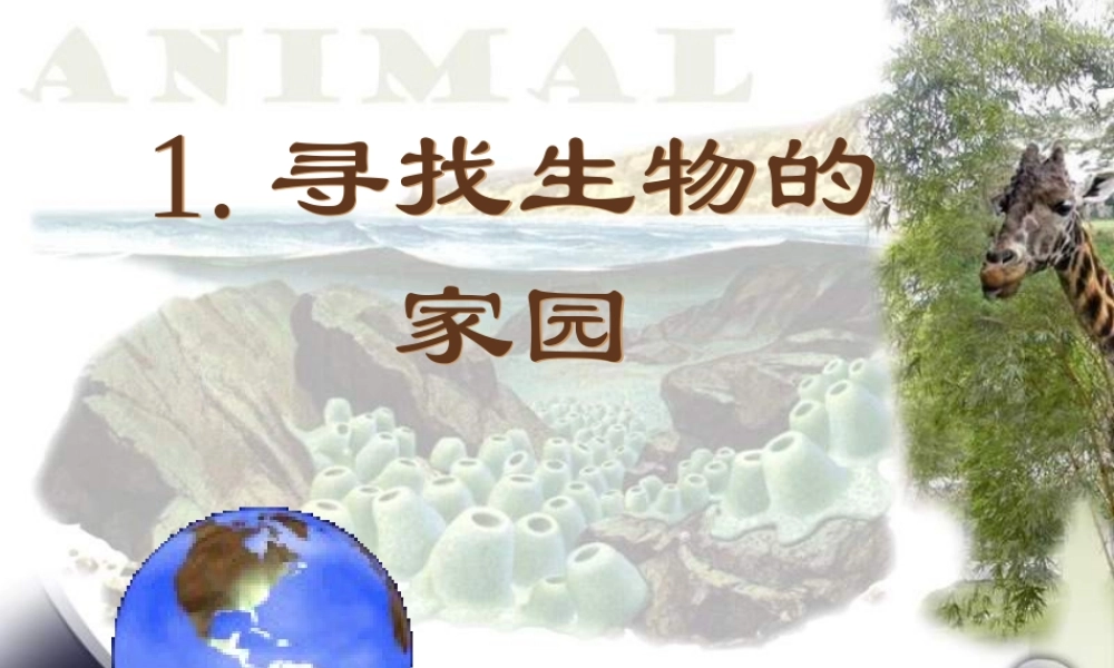 苏教小学科学六下《4.1.寻找生物的家园》PPT课件 (7)【加微信公众号 jiaoxuewuyou 九折优惠qq 1119139686】.ppt