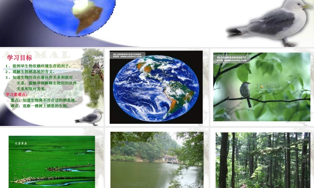 苏教小学科学六下《4.1.寻找生物的家园》PPT课件 (7)【加微信公众号 jiaoxuewuyou 九折优惠qq 1119139686】.ppt