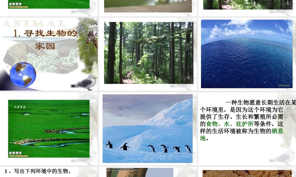苏教小学科学六下《4.1.寻找生物的家园》PPT课件 (7)【加微信公众号 jiaoxuewuyou 九折优惠qq 1119139686】.ppt