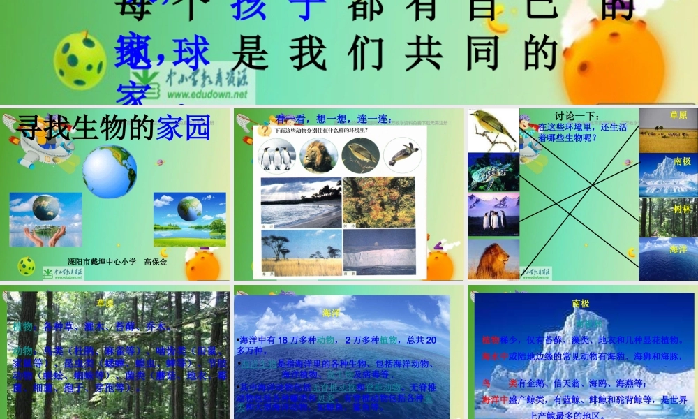 苏教小学科学六下《4.1.寻找生物的家园》PPT课件 (5)【加微信公众号 jiaoxuewuyou 九折优惠qq 1119139686】.ppt