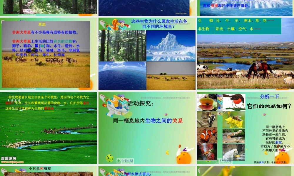 苏教小学科学六下《4.1.寻找生物的家园》PPT课件 (5)【加微信公众号 jiaoxuewuyou 九折优惠qq 1119139686】.ppt