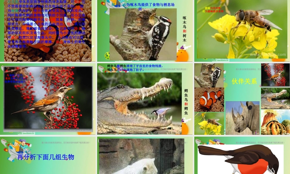 苏教小学科学六下《4.1.寻找生物的家园》PPT课件 (5)【加微信公众号 jiaoxuewuyou 九折优惠qq 1119139686】.ppt