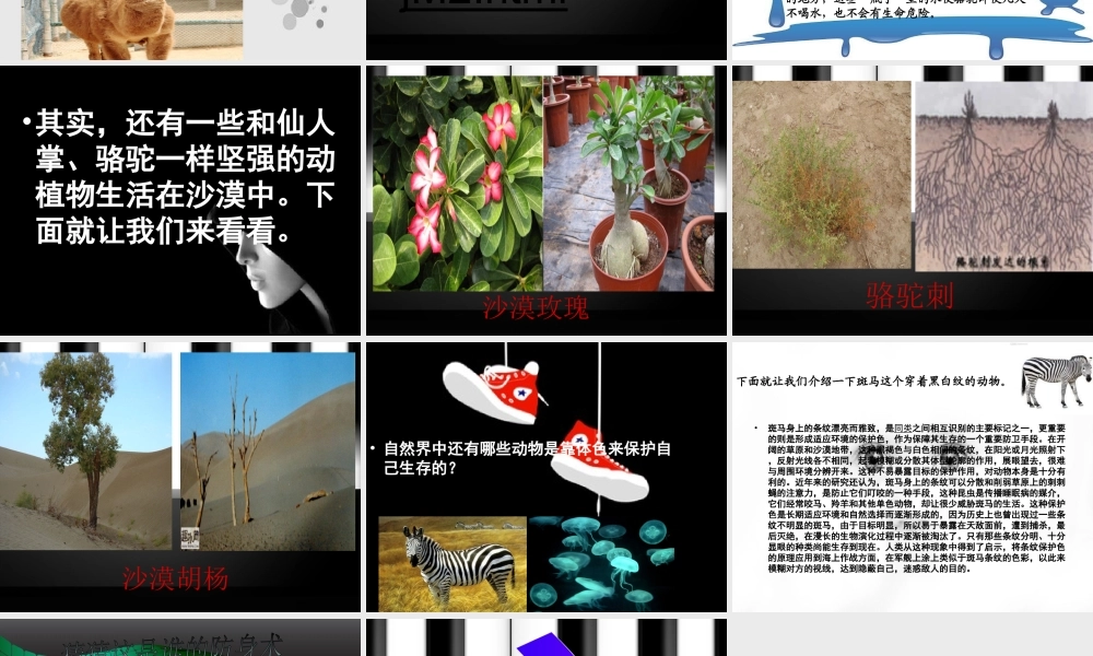 苏教小学科学六下《4.2.有利于生存的本领》PPT课件 (2)【加微信公众号 jiaoxuewuyou 九折优惠qq 1119139686】.ppt