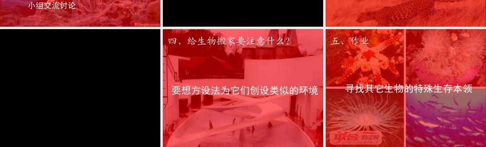 苏教小学科学六下《4.2.有利于生存的本领》PPT课件 (6)【加微信公众号 jiaoxuewuyou 九折优惠qq 1119139686】.ppt