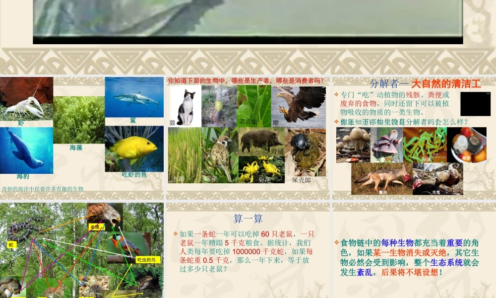 苏教小学科学六下《4.3.有趣的食物链》PPT课件 (5)【加微信公众号 jiaoxuewuyou 九折优惠qq 1119139686】.ppt